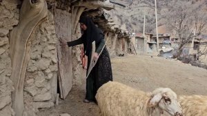 A storm of rain and thunder and the resistance of Saifullah and Arad/Nomadic documentary