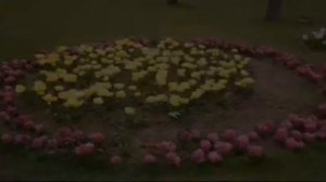 Балыкесир Турция