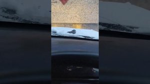 Запуск машины зимой.