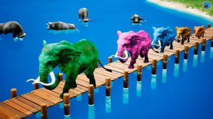 5 Giant Dinosaurs vs Zombie Tiger Bull Fight Cartoon Cow Rescue Saved By Woolly Mammoth Animal Figh