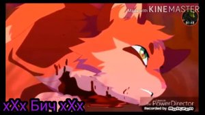 Коты-Воители| Клип | Ego.