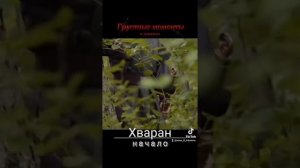 Грустные моменты из дорам