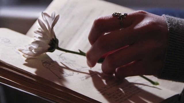 Лунный календарь на 5 мая 2019 года смотреть онлайн