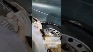 Приора ,убираем рыжики .