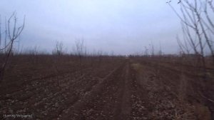 Охота на зайца-ЛУЧШИЙ ЧЕРНОТРОП. Сезон 2021-2022