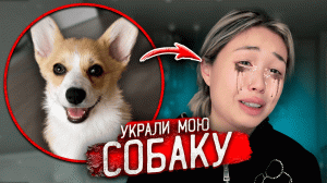 Я ПЛАЧУ ! Мою СОБАКУ УКРАЛИ !(