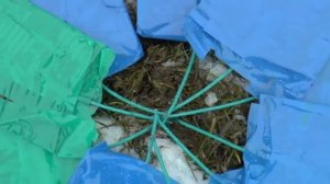 Что будет, если поджечь 10 000 ПЕТАРД ОДНОВРЕМЕННО