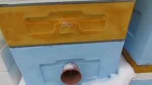 ужасы при зимовке пчел, все летки закрыты, как же пчелы дышат в улье и не погибают - часть 1