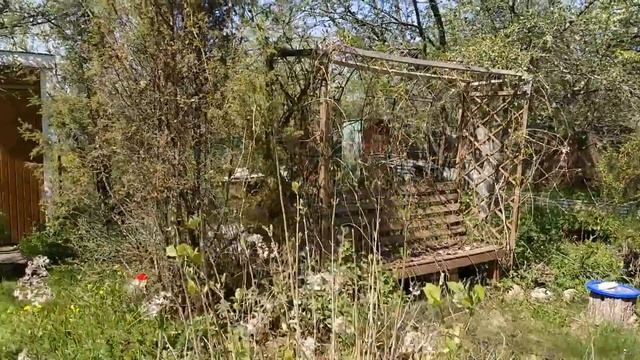 Дача Флора 2 смотреть онлайн