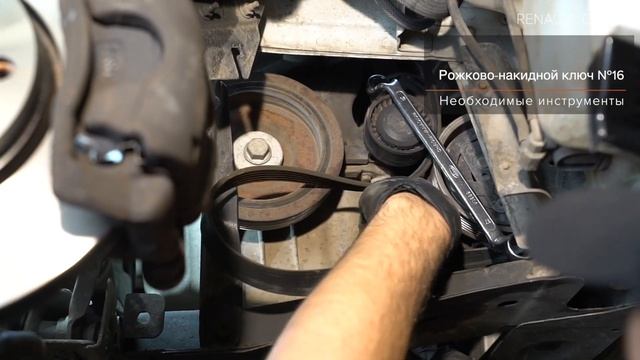 Как заменить поликлиновый ремень двигателя RENAULT CLIO 3 [ВИДЕОУРОК AUTODOC]