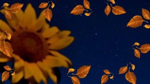 Стихотворение ( песня) УХОДИТ ЛЕТО...(Читает Автор Анна Юркин)