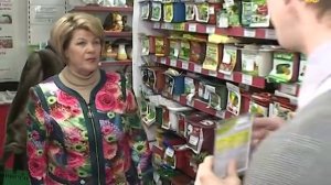 Энерген, эпин, циркон для стимулирования семян. Проблем нет!