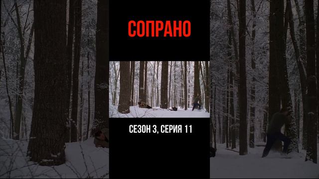 Русский зелёный берет (сериал " Сопрано")