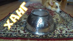 Ханг-волшебные мелодии.