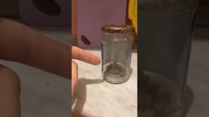 Как бороться с молью?