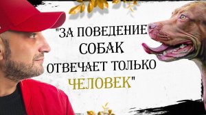 Антуан Наджарян: "За поведение собак отвечает только человек"