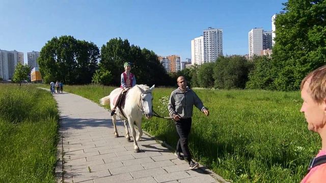 Только мы с конём по полю идём! смотреть онлайн
