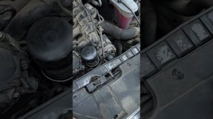 Осмотр Ауди А5 2012 г в автодилере Рольф || выбор программы автокредита