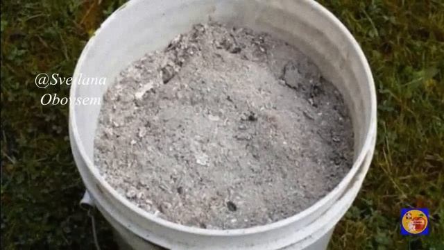 НИКОГДА НЕ КОРМИ ОГУРЦЫ ЗОЛОЙ,А ДОБАВЬ В РАСТВОР ЭТО.. ТОЛЬКО ТОГДА ОНА ПРИНЕСЕТ ПОЛЬЗУ.ДЛЯ УРОЖАЯ смотреть онлайн