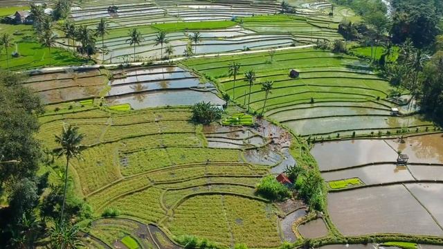 Relax Oriental Music (расслабляющая восточная музыка) смотреть онлайн