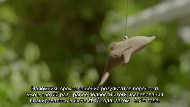 Через год россияне узнают, эффективен ли на самом деле Арбидол смотреть онлайн