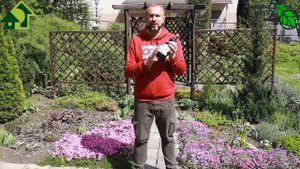 СПАСИТЕЛЬ или ПУСТЫШКА? 3 ГЛАВНЫХ ПОВОДА ИСПОЛЬЗОВАТЬ КОРИЧНЕВЫЕ ГУМИНОВЫЕ УДОБРЕНИЯ.