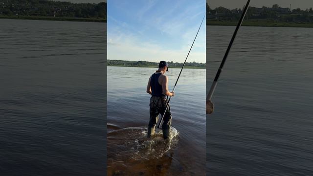 Немножко тишины...   Подпишись, новое видео каждый день!