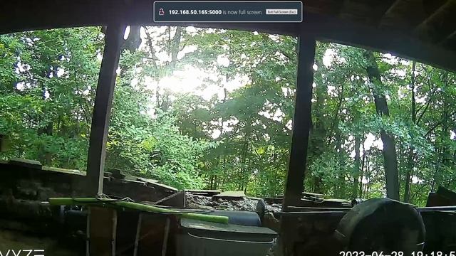 Turn your Wyze Camera into an IP camera using Wyze bridge смотреть онлайн