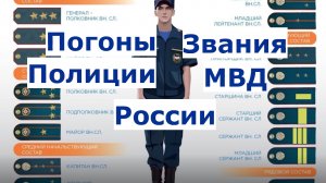 ✅ Погоны и Звания Полиции России (МВД РФ) по порядку возрастания со звездами по старшинству