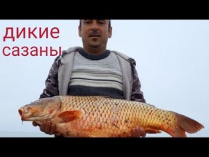 В поисках новых рыболовных мест.