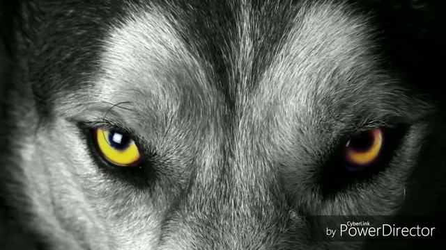 Удачная на днях была охота смотреть онлайн