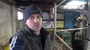 ‼️Срочно‼️Отравление препаратом седемин, седимин ум плюс.