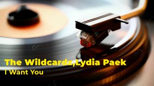 The Wildcardz,Lydia Paek - I Want You - Instrumental Version (Soul & RnB,Pop,Funk)