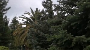 Санаторий Черноморье. Сочи. Ночные маски для лица.