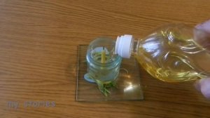 Свеча длительного горения за 2 минуты своими руками. Вечная свеча. eternal candle