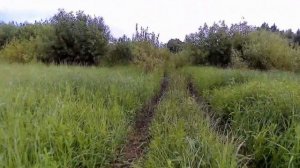 Дорога на рыбалку #артемовские #луга
