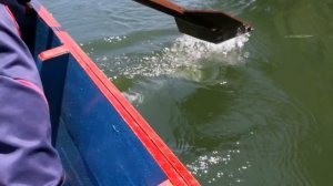 /Что это было?/ Загадочный случай на таежном озере/