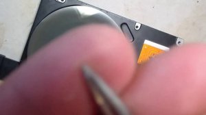 Что можно сделать из старого жесткого диска.