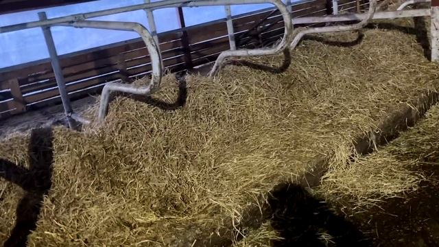 Снова про солому в боксы смотреть онлайн