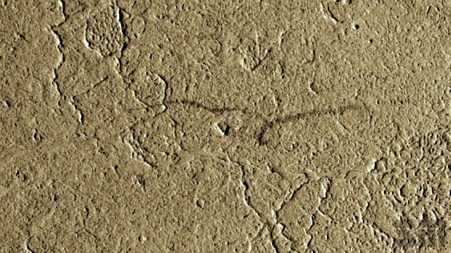 OUT OF ORBIT BY SHADOW MARS смотреть онлайн