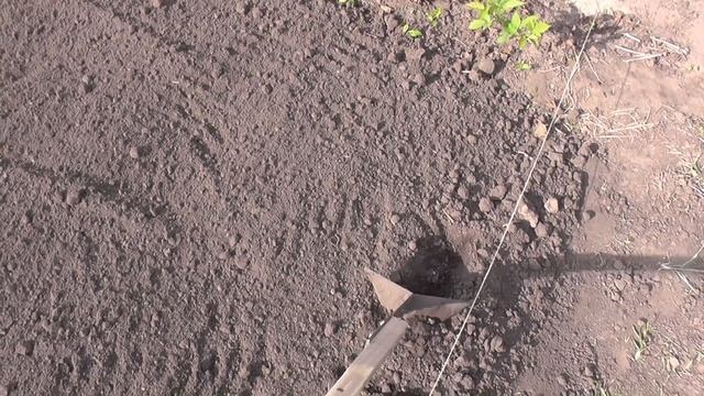 ЭФФЕКТИВНЫЙ СПОСОБ ПОСАДКИ РАССАДЫ ОВОЩЕЙ В ОТКРЫТЫЙ ГРУНТ