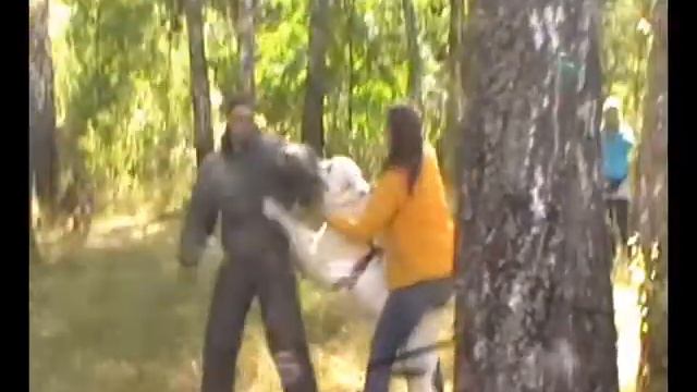 Лето, собачки и кусачки смотреть онлайн