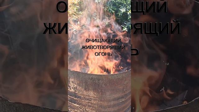 Исцеляющий 🌈🦋огонь🔥🔥🔥