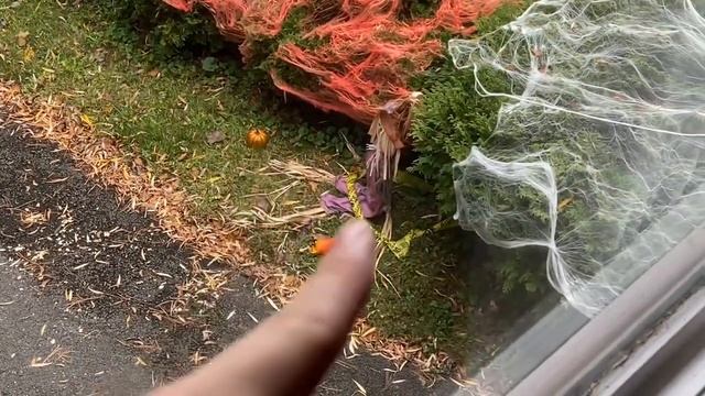 Как прошёл мой Halloween в Америке ? смотреть онлайн