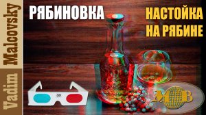 3D stereo red-cyan Настойка на рябине или рябиновка. Мальковский Вадим