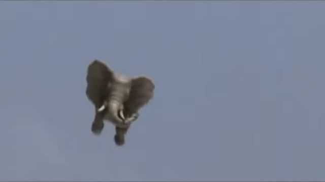 Как объяснить дедушке-летчику что такое посадочная страница? смотреть онлайн