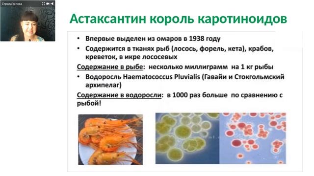 Астаксантин - наш хранитель и защитник смотреть онлайн