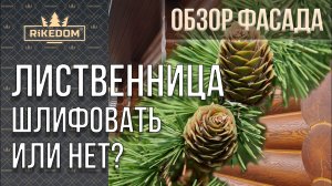 Показываем покраску сруба из лиственницы! Не домик-а загляденье!