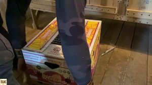 САМАЯ РЕДКАЯ ПОРОДА КРОЛИКОВ "РЕКС"