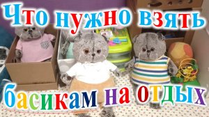 Что нужно взять басикам на отдых.